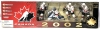 Vintage 2002 MacFarlane Sport Picks : Team Canada 4 Figure Set : #19 Yzerman, #31 Joseph, #66 Lemieux, #44 Pronger - Approx 5" Tall Each