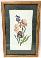 Vintage 1997 Signed Framed Original Italian Watercolour Iris Painting - 14.75" &times; 22.75"