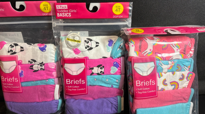 15 New Toddler Girls Briefs| Size 4T