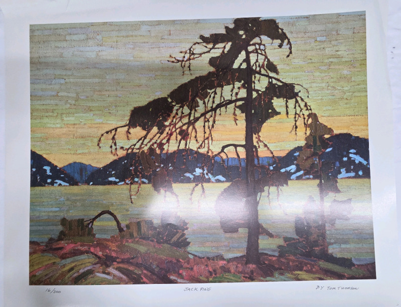 Art Print of "Jack Pine" By Tom Thomson | Measures 24" x 20" | 16/300