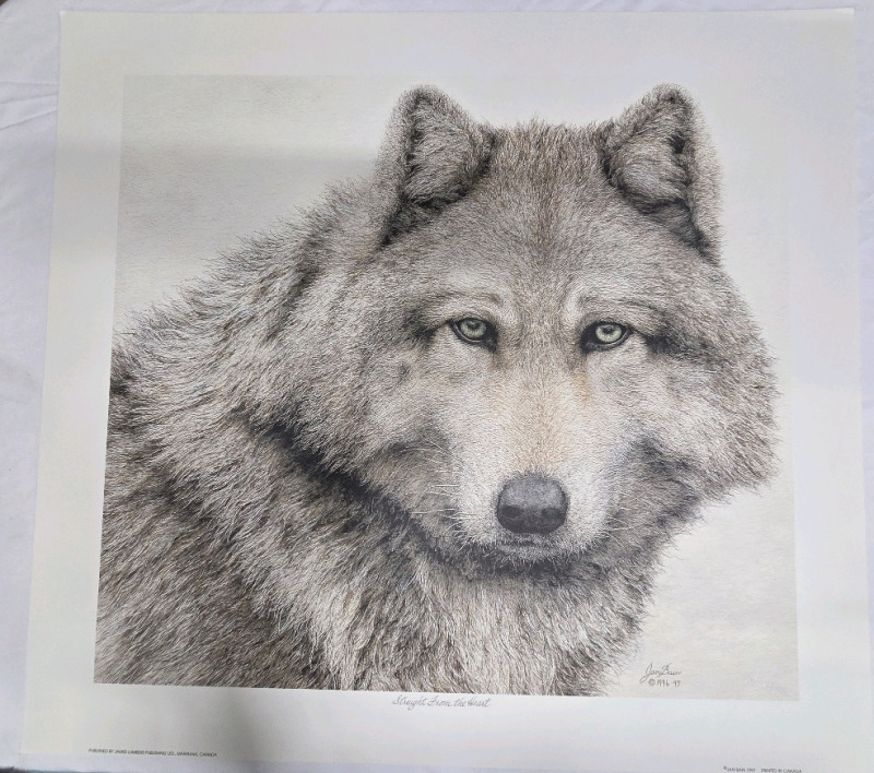 Art Print of "Straight From The Hunt" By Jan Bain | Measures 24" x 22" | 498/750