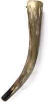 Vintage Real Polished Ox / Buffalo Horn Warhorn / Sounding Horn - 16.5" Long