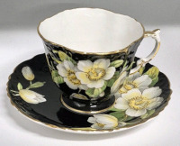 Anysley Teacup & Saucer Dogwood Blossom
