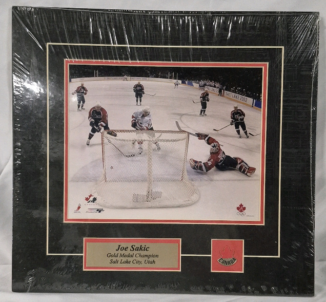 JOE SAKIC NHL Gold Medal Champion Salt Lake City, Utah 15 by 14"
