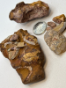 Rare Bag of Natutal Opals 81.3 grams - 4