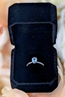 New 925S 1.0ct Oval Cut Natural Swiss Blue Topaz Halo Ring, Resizeable, Mounted in 925 Sterling Silver with White Gold Overlay