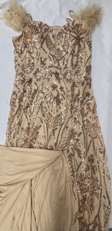 New | Size XL Women's Faeriesty Floor Length Gown