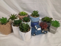 10 New | Miniature Faux Plants | Tallest Measures 3"