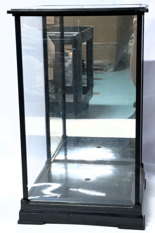 CFL Football Mirrored Display Case - Glass & Plastic - 9" &times; 9" &times; 15"