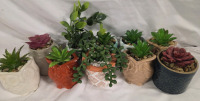 10 New | Assorted Miniature Faux Plants | Tallest Measures 3"