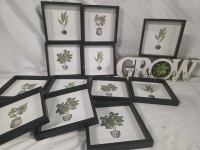 New | Assorted Plant Themed Wall Hangs