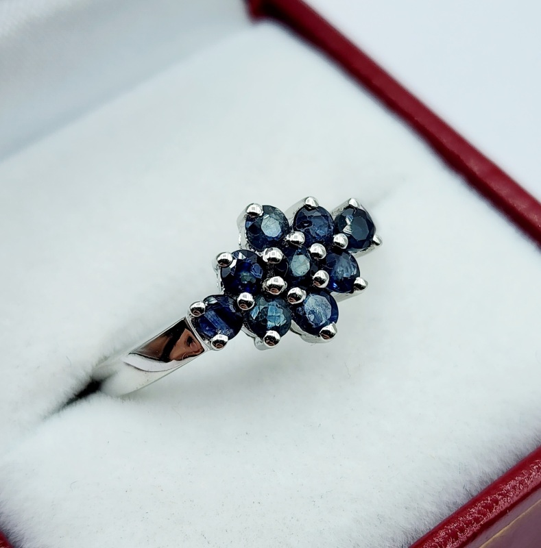 NEW Sterling Silver Natural Blue Sapphire (0.72ct) Ring, Size 7, W/A $360.00. (with appraisal) Sapphire is the birthstine for September.