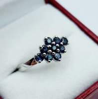 NEW Sterling Silver Natural Blue Sapphire (0.72ct) Ring, Size 7, W/A $360.00. (with appraisal) Sapphire is the birthstine for September.