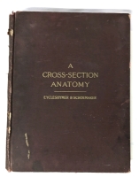 Vintage 1930 "A Cross-Section Anatomy by Eycleshymer & Shoemaker - Oversized Hardcover Book