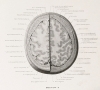 Vintage 1930 "A Cross-Section Anatomy by Eycleshymer & Shoemaker - Oversized Hardcover Book - 3