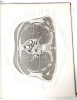 Vintage 1930 "A Cross-Section Anatomy by Eycleshymer & Shoemaker - Oversized Hardcover Book - 6
