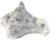 Vintage Signed & Numbered HOSELTON Soapstone Polar Bear Sculpture - 6.5" &times; 5" &times; 2.5" Tall - 5