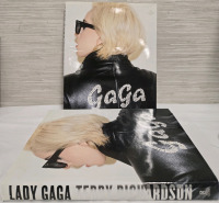 2 | Lady Gaga Hardcover Book Written By; Terry Richardson