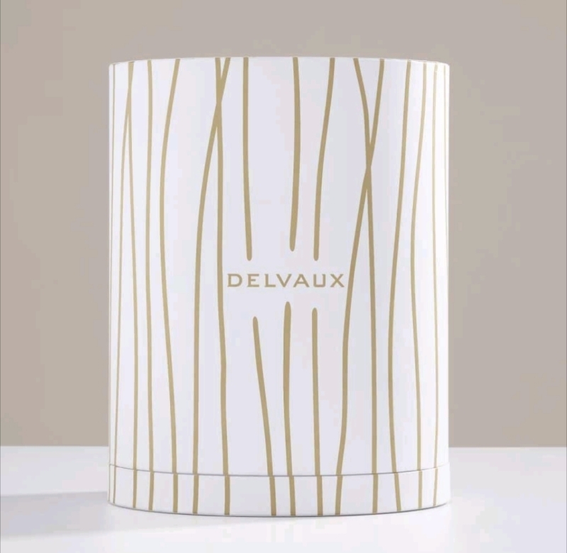 3 New Delvaux Packaging Boxes