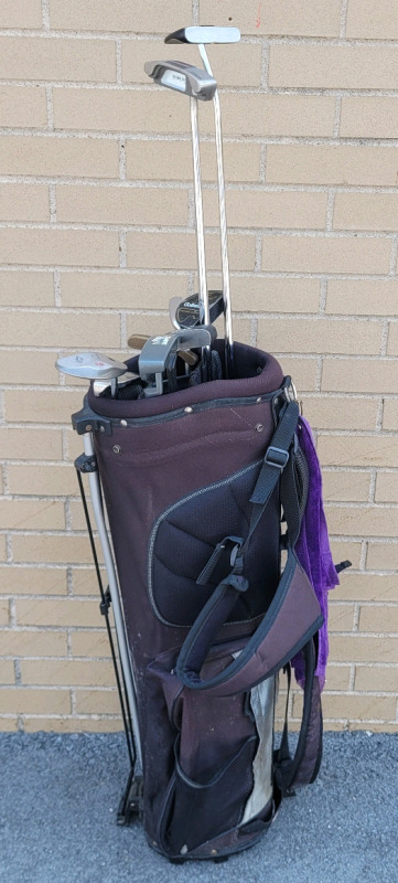 Nine (9) Right Handed Putters w/Golf Bag . Includes : Callaway The Tuttle , Golfsmith 49" Belly-Buster , Black Rock 51" Belly-Buster plus Six (6) Various Putters .