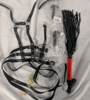 [Adults Only] Flogger, Harness, Sex Dice & Butt Plugs. Flogger measures 18" Long.
