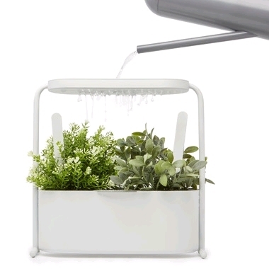 As New Umbra Giardino Planter. Measures 13.5" Tall. Retails for $50