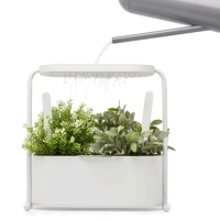 As New Umbra Giardino Planter. Measures 13.5" Tall. Retails for $50