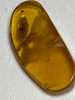 145 - 66 Million Year Old Insect Trapped in Amber Cretaceous The Final Dinosaur Era 3rd Period of Mesozoic Era Polished Amber 28mm x 8mm 0.30g Prehistoric Insect Trappef Inside plus other Insects Remains s specimen - 6