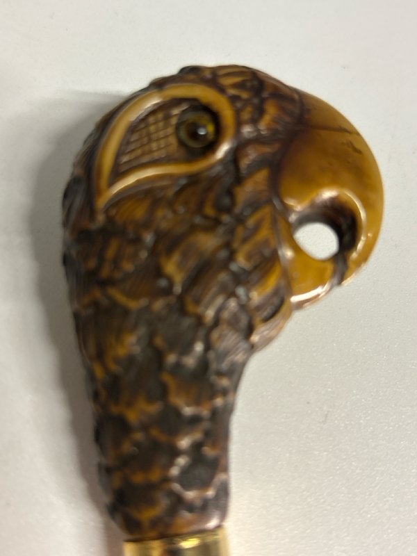 Parrot Bottle Opener 20th Century Late 1970&rsquo;s Carved Bird Head Approximately 5 inch