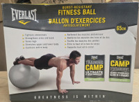As New In Box | Everlast Burst-Resistant Fitness Ball * Has A Slight Cigarette Scent *