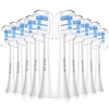 10pc New Apical Life Replacement Toothbrush Heads Compatible with Philips Sonicare +