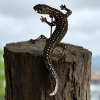 Vintage Lizard Gecko Brooch Clear Rhinestone Eyes Approximately 2.75 inches - 2
