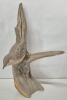Wooden Art Sculpture Bird on Driftwood 9.5" Tall