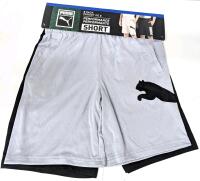 New Size LG (10/12) Men's PUMA 2-Pack Performance Shorts