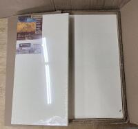 2 Pack New Masterpiece 12 by 24" Vincent Pro 7/8" Deep Poitiers Protrait Smooth 14.1 oz Oil Primed Artist Canvas Retails Over $100