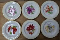 6 Royal Worcester Bermuda Flowers Bone China Plates. 9" Across. No chips or cracks noted.