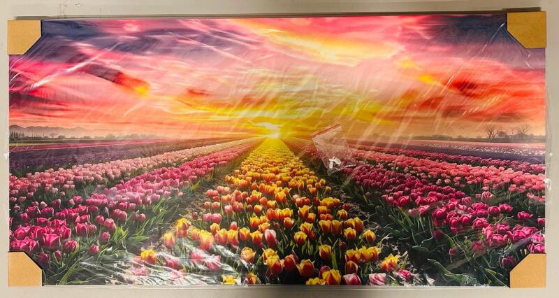 Panoramic Wall Art of Tulip Field at Sunrise/Sunset, 40&rdquo;x20&rdquo;