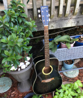 Jaguar Acoustic Guitar 6 String Acoustic