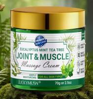 New Joint and Muscle Massage Cream with Eucalyptus Oil, Peppermint, Tea Tree Oil and Chamomile deeply moisturizes dry areas, care for joints, and absorbs easily 70g Stock photo added<br/>Expires 2028 08 13