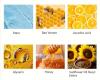 New WATER ICE LEVIN Bee Venom Joint Cream Spray 30ml New Zealand Honey Fast-Acting Deep Penetrating Relief for Neck, Waist, Back, Hands, Feet & Legs with Hyaluronic Acid & Glycerin <br/>Stock photo added Expires 06/25/2028 - 2