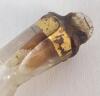 Antique Glass Lachrymatory Tear Catcher Perfume Vial w/Slight Gold Embellishments . Glass Stopper Wax Sealed Closed (empty) . Measures 7 &frac34;" Long - 3