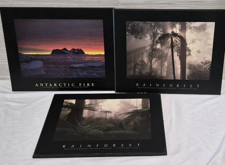 3 Plak-It Pictures The Rainforest & Antarctic Fire 13" by 11"