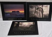3 Plak-It Pictures The Rainforest & Antarctic Fire 13" by 11"