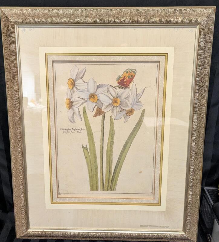 Vintage Framed Narcissus Print. 23" by 28" with frame