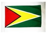 10 New AZ Flag Guyana Flags, 90x60cm