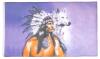 3 New AZ Flag Indigenous Man with Wolf Flags, 150x90cm