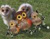 Beautiful Colorful Rhinestone Enamel Owl Brooch Adult with two Owlets approximately 1.5 x 2.5&rsquo;&rsquo; - 2