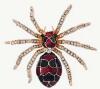 Elegant Spider Brooch Luxurious Alloy with Red & Black Inlay Accents, Sparkling Rhinestones Approximately 2.4 x 2&rsquo;&rsquo; stock photo added