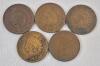 1896 - 1905 USA Indian Head One Cent Pennies . 1896, 1897, 1898, 1899, 1900, 1901, 1902, 1903, 1904, and 1905 . Consecutive Years . Ten (10) Coins . - 3