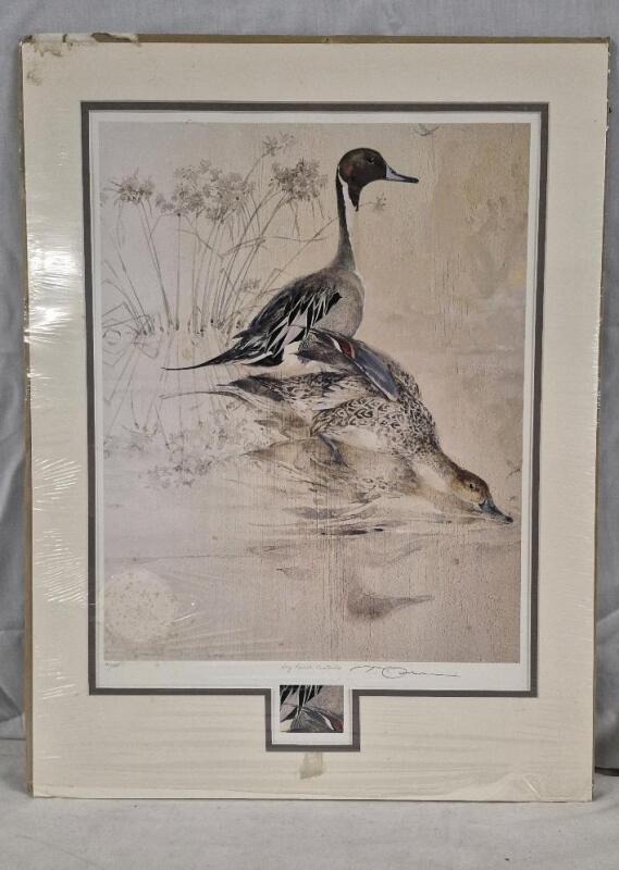 Vintage Signed Print "Bay Ranch Pintails" # 101/395 - 23" by 17.5"